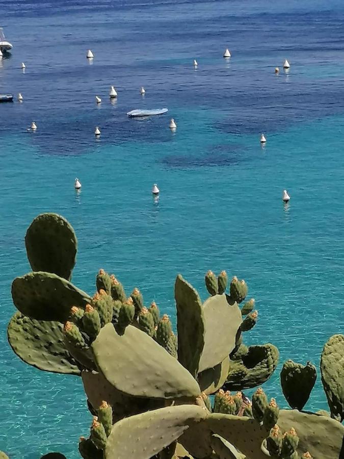 Casa Vacanza Tra Cielo E Mare Custonaci Zewnętrze zdjęcie